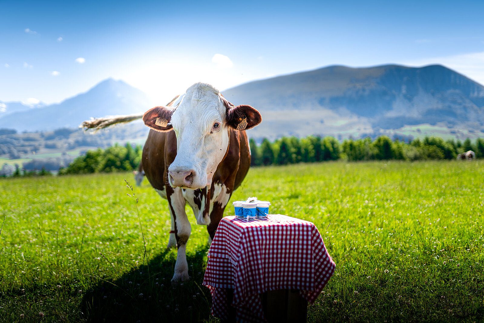 découvrez comment l'agriculture durable favorise le bien-être animal tout en préservant notre planète. explorez des pratiques innovantes qui respectent les animaux et l'environnement, pour une agriculture éthique et responsable.