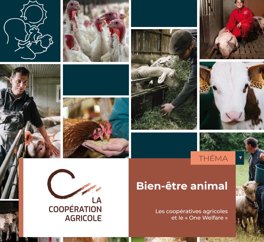 découvrez comment l'agriculture durable promeut le bien-être animal en alliant pratiques écoresponsables et respect de la vie animale. explorez des méthodes innovantes qui garantissent une production alimentaire éthique et responsable.