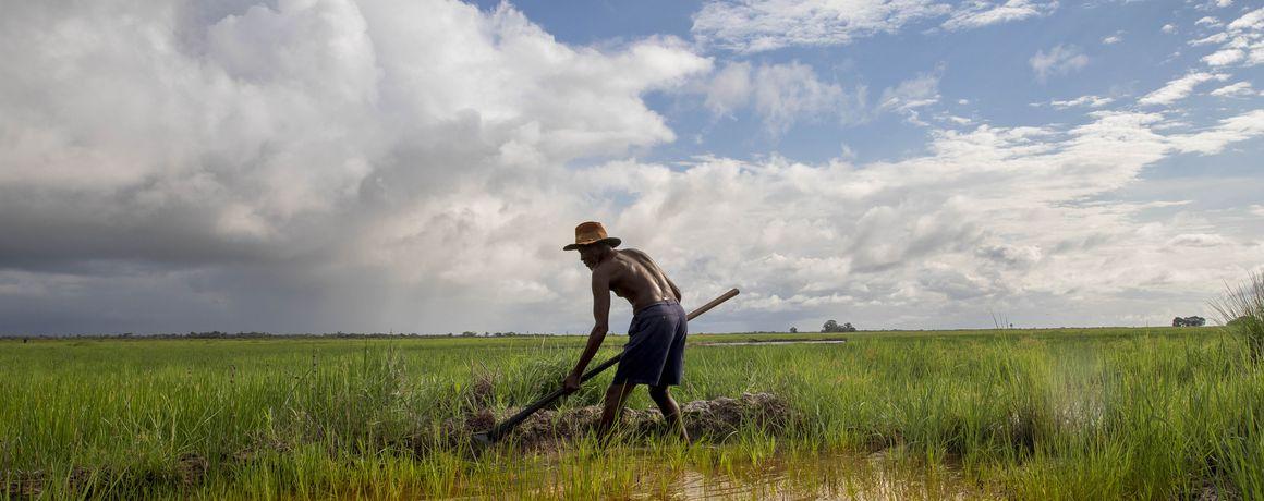 découvrez comment l'agriculture durable contribue à la lutte contre le changement climatique, en intégrant des pratiques respectueuses de l'environnement pour préserver nos ressources naturelles tout en garantissant la sécurité alimentaire.