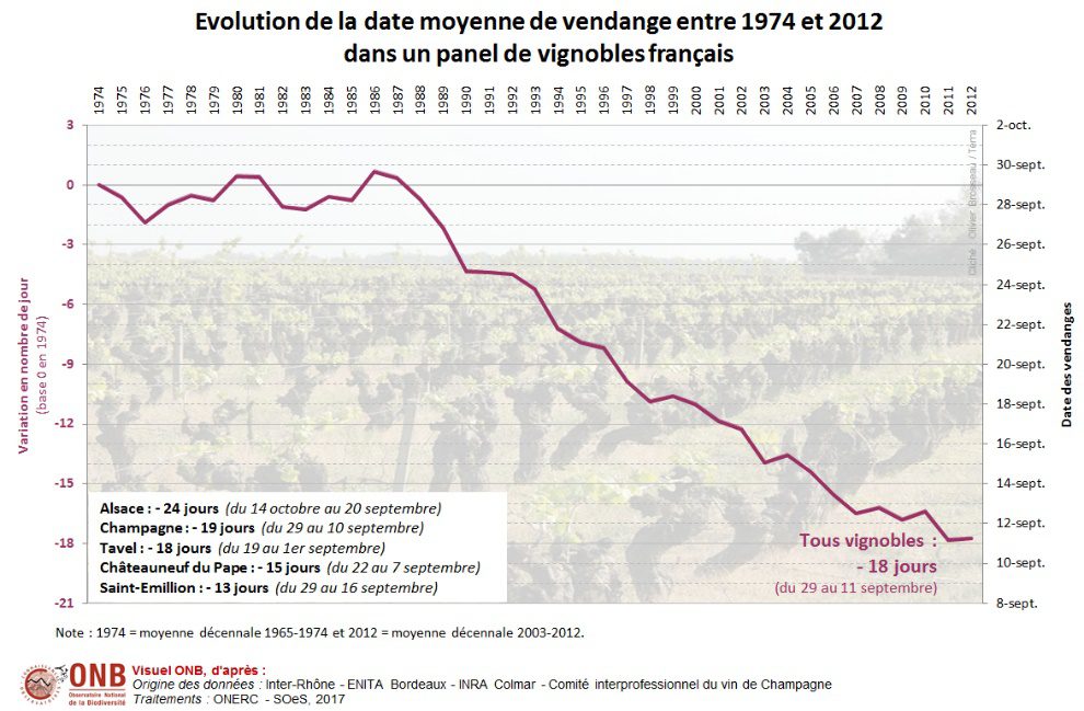 découvrez comment l'agriculture durable peut contribuer à atténuer les effets du changement climatique tout en préservant nos ressources naturelles. explorez des pratiques innovantes et des solutions respectueuses de l'environnement qui favorisent un avenir agricole responsable et durable.