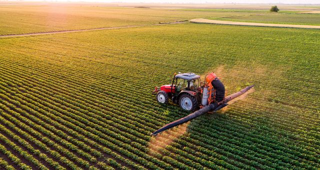 découvrez les principes de l'agriculture écologique, une méthode durable qui préserve l'environnement tout en produisant des aliments sains. apprenez comment cette approche favorise la biodiversité, améliore la qualité des sols et soutient les communautés locales.