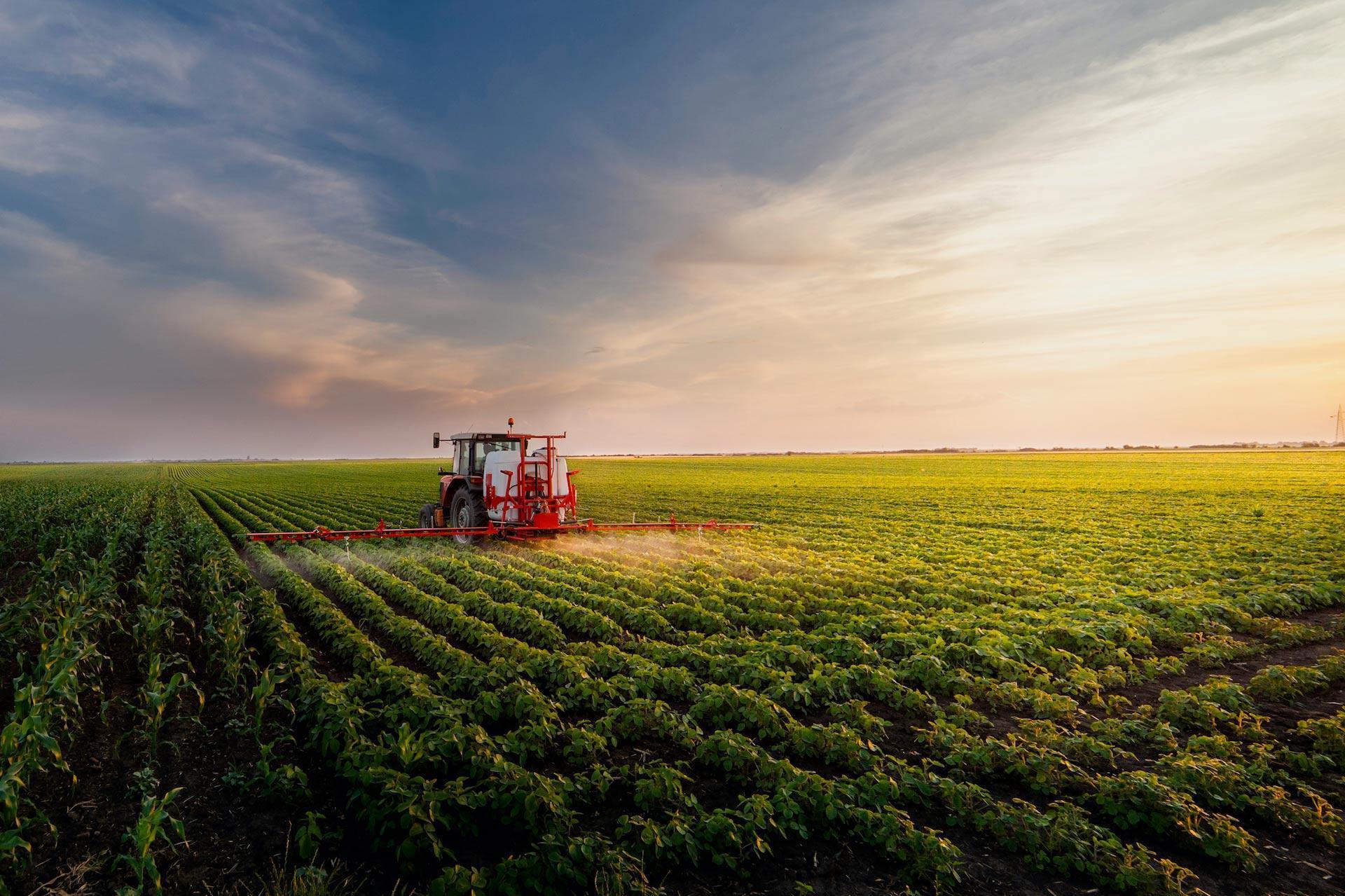 découvrez les avantages de l'agriculture écologique, une approche durable qui préserve l'environnement tout en améliorant la qualité des récoltes. apprenez comment cette méthode contribue à la biodiversité et à la santé des sols.