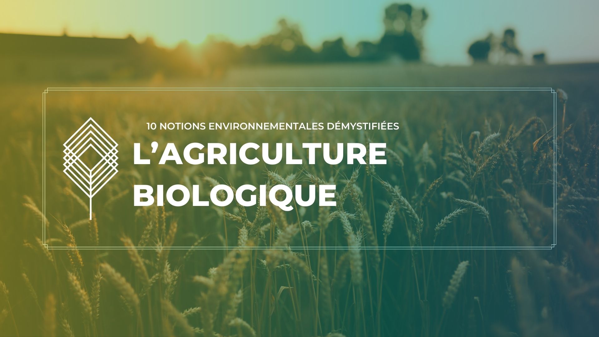 découvrez l'agriculture écologique, une méthode durable et respectueuse de l'environnement. apprenez comment cette approche favorise la santé des sols, réduit l'utilisation de produits chimiques et contribue à la biodiversité tout en produisant des aliments de qualité.