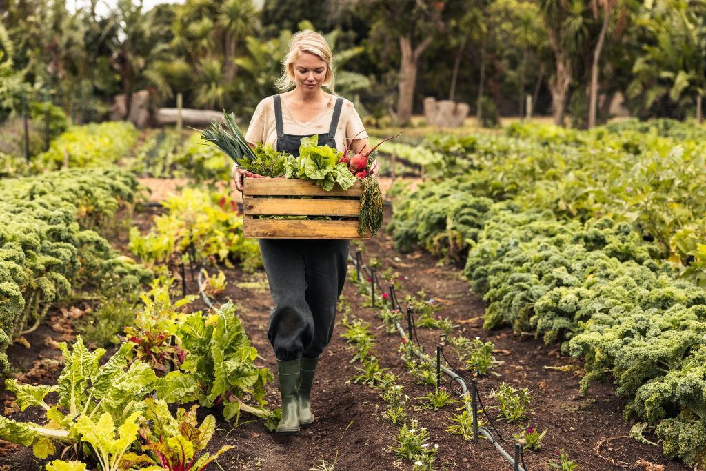 découvrez l'agriculture écologique au jardin : des méthodes durables pour cultiver vos plantes tout en préservant l'environnement. apprenez à créer un espace de jardinage respectueux de la nature, riche en biodiversité et productif. transformez votre jardin en un véritable havre de paix éco-responsable.