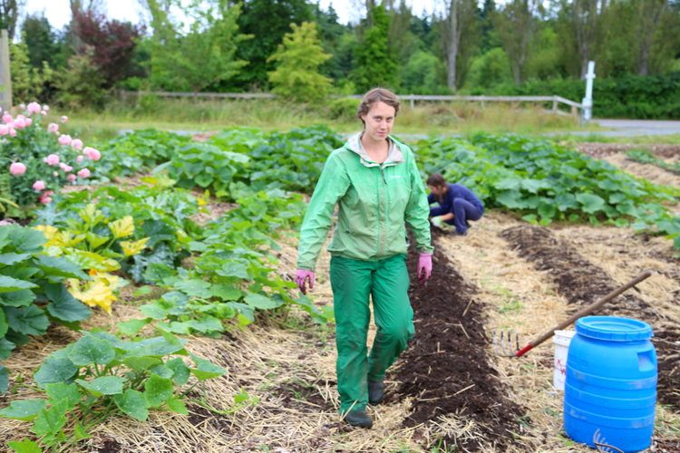 découvrez comment pratiquer l'agriculture écologique au jardin pour cultiver des légumes sainement, préserver la biodiversité et respectez l'environnement. apprenez des techniques durables et des astuces pour un jardinage responsable tout en produisant des récoltes abondantes.