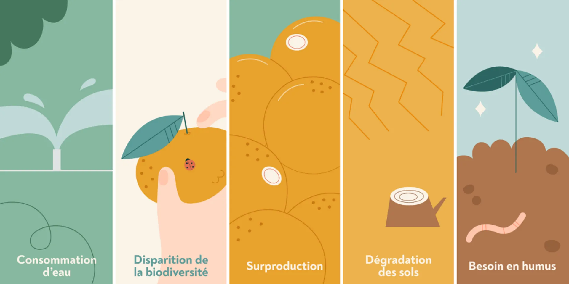 découvrez les différences entre l'agriculture écologique et l'agriculture conventionnelle. explorez les pratiques durables, les impacts environnementaux et les bénéfices pour la santé associés à chaque méthode. informez-vous pour faire des choix éclairés sur l'avenir de notre agriculture.