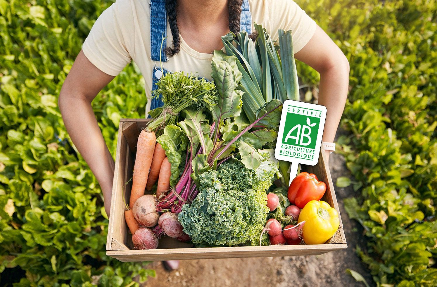 découvrez les pratiques de l'agriculture écologique, une approche durable visant à préserver l'environnement tout en garantissant des récoltes saines et respectueuses de la biodiversité. apprenez comment cette méthode favorise la santé des sols et la qualité des aliments.