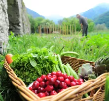 découvrez l'agriculture écologique, une pratique durable qui respecte l'environnement tout en garantissant une production alimentaire saine. apprenez comment cette approche favorise la biodiversité, réduit l'utilisation de pesticides et préserve les ressources naturelles pour les générations futures.