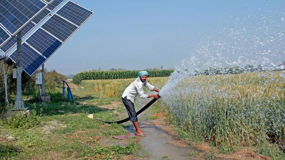 découvrez les pratiques d'agriculture économe en énergie qui optimisent les ressources tout en préservant l'environnement. apprenez comment cette approche durable favorise la rentabilité des exploitations agricoles et contribue à une alimentation responsable.