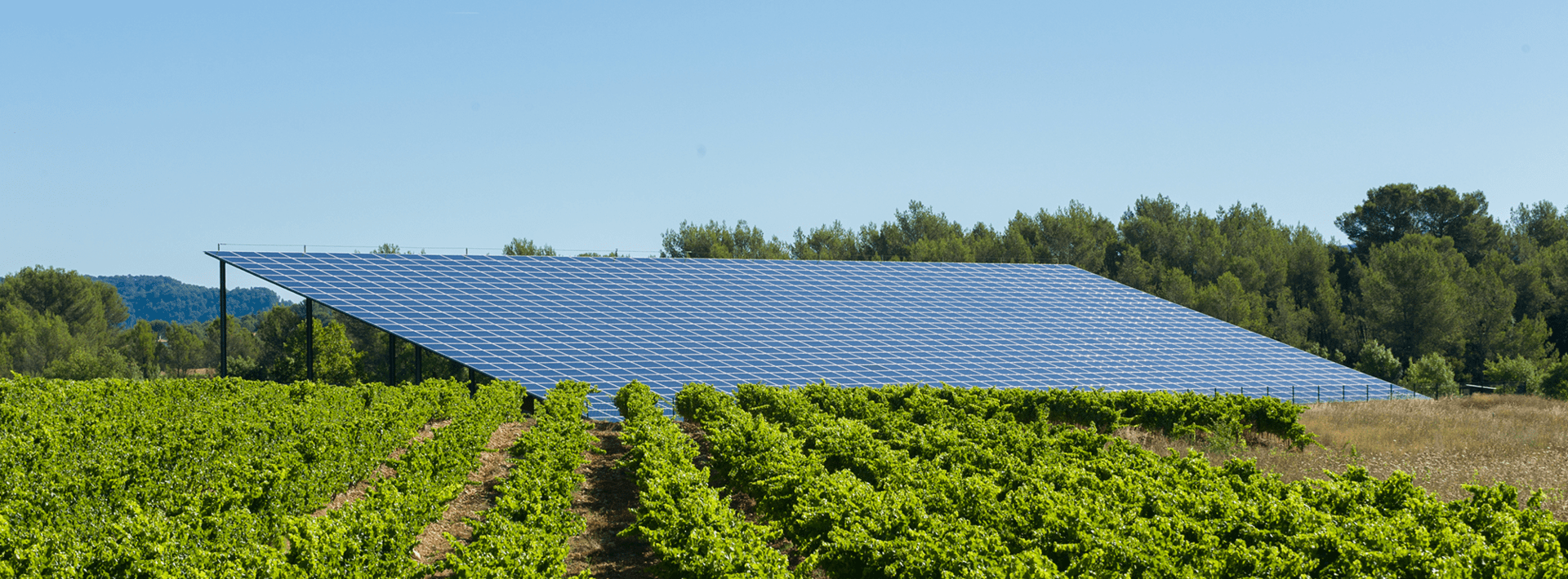 découvrez comment allier agriculture et énergie durable pour un avenir plus vert. explorez des pratiques innovantes qui préservent les ressources naturelles tout en répondant aux besoins énergétiques. adoptez une approche responsable pour un monde durable.