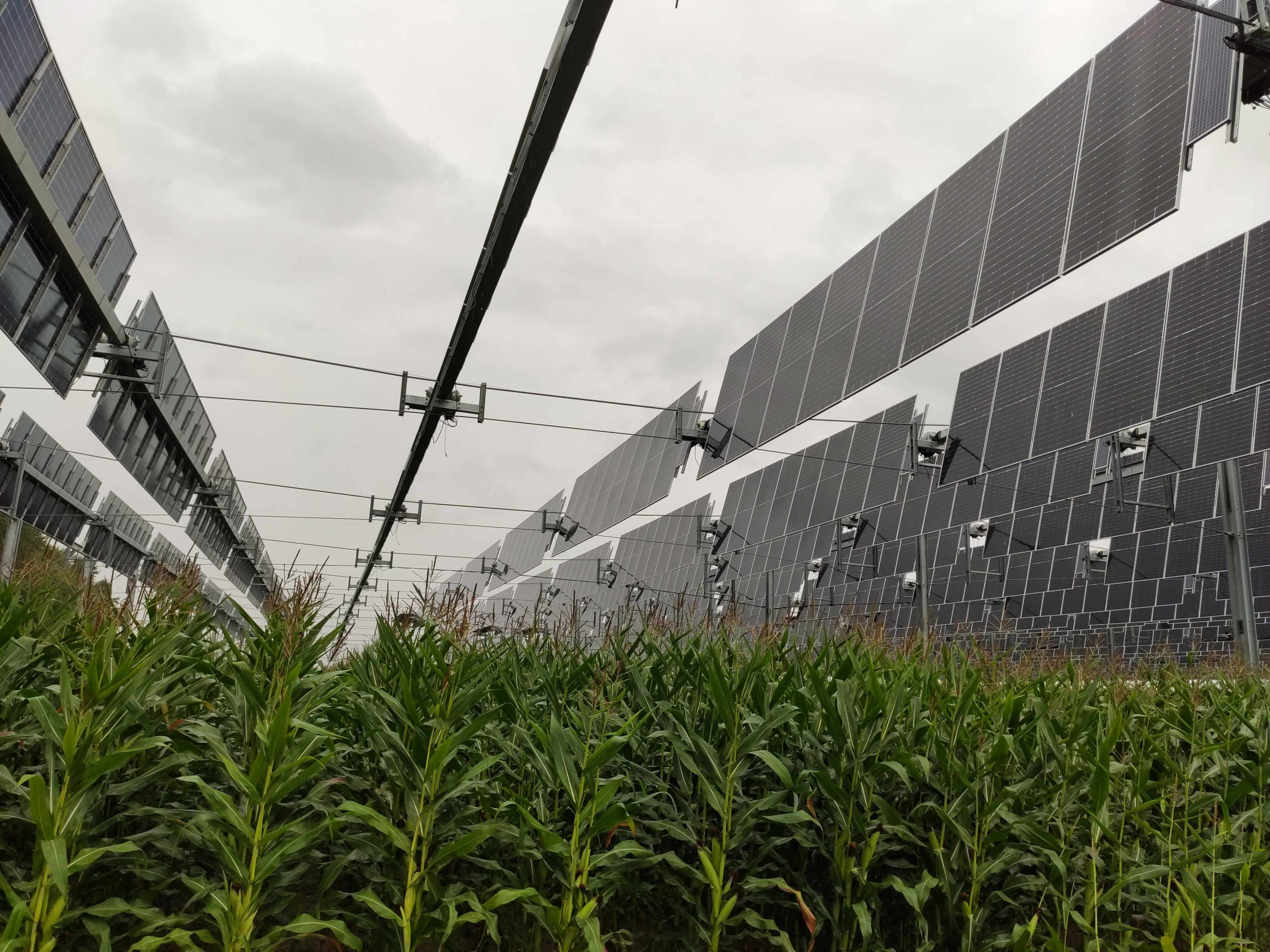 découvrez comment l'agriculture et le photovoltaïque peuvent se combiner pour créer des solutions durables. explorez les avantages de l'agriculture solaire, l'optimisation des terres et la réduction de l'empreinte carbone grâce à l'énergie renouvelable.