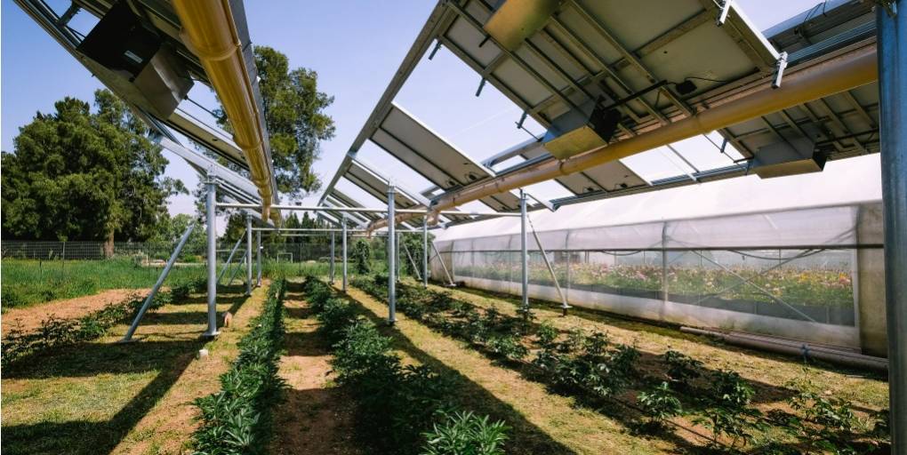 découvrez l'agriculture photovoltaïque, une solution innovante alliant production agricole et énergie solaire. apprenez comment cette méthode durable optimise l'utilisation des terres, augmente les rendements tout en préservant l'environnement.