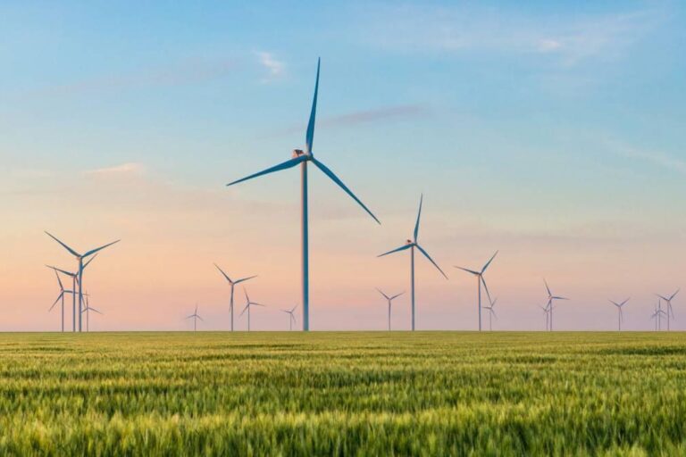 découvrez les bienfaits de l'agriculture renouvelable durable, une approche innovante qui préserve l'environnement tout en garantissant des récoltes productives. explorez des pratiques agricoles respectueuses, favorisant la biodiversité et le développement durable pour un avenir meilleur.