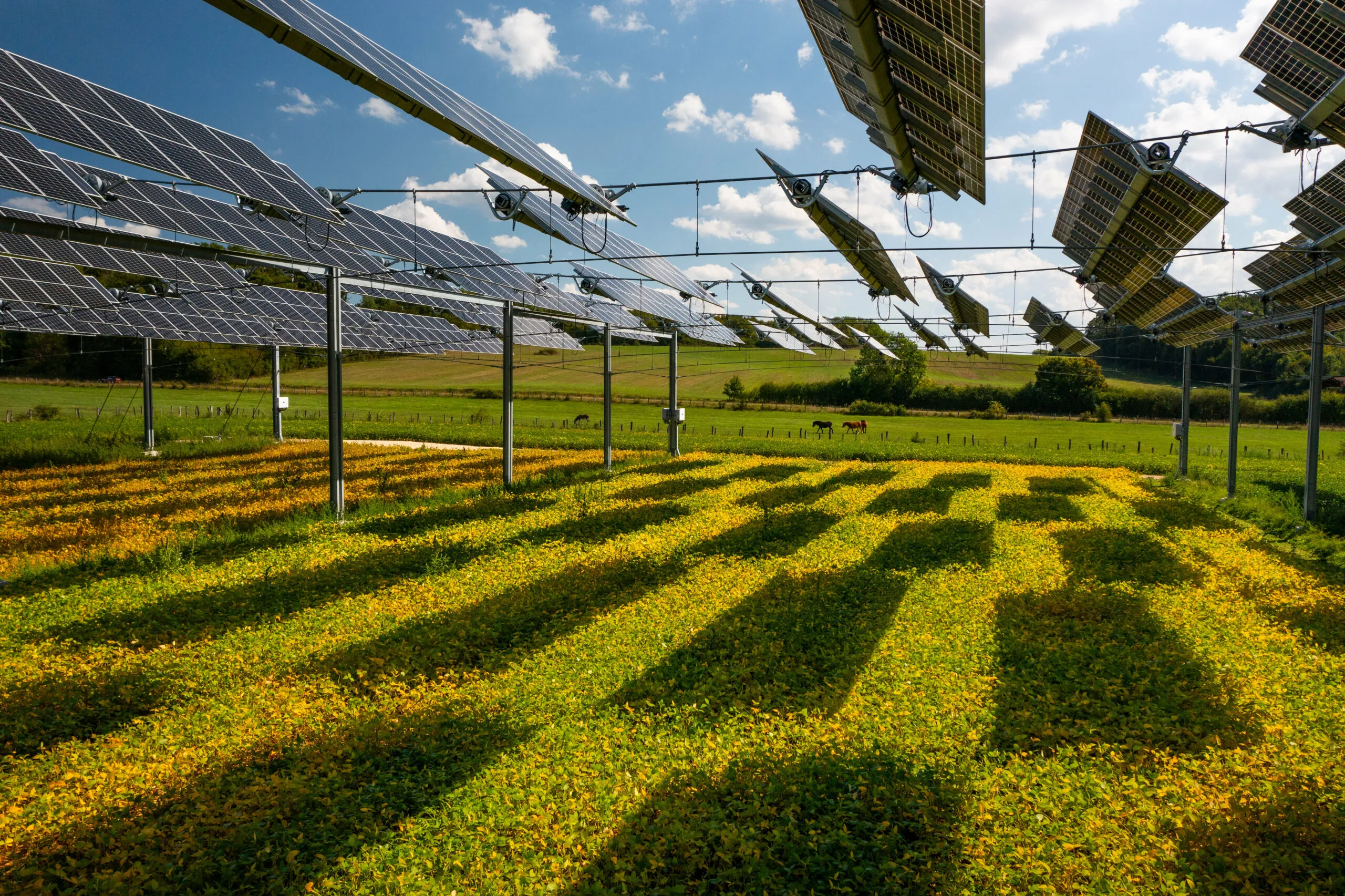 découvrez les principes de l'agriculture renouvelable durable, une approche innovante pour cultiver nos ressources tout en préservant l'environnement. apprenez comment cette pratique privilégie la biodiversité, réduit les impacts écologiques et assure une alimentation saine pour les générations futures.