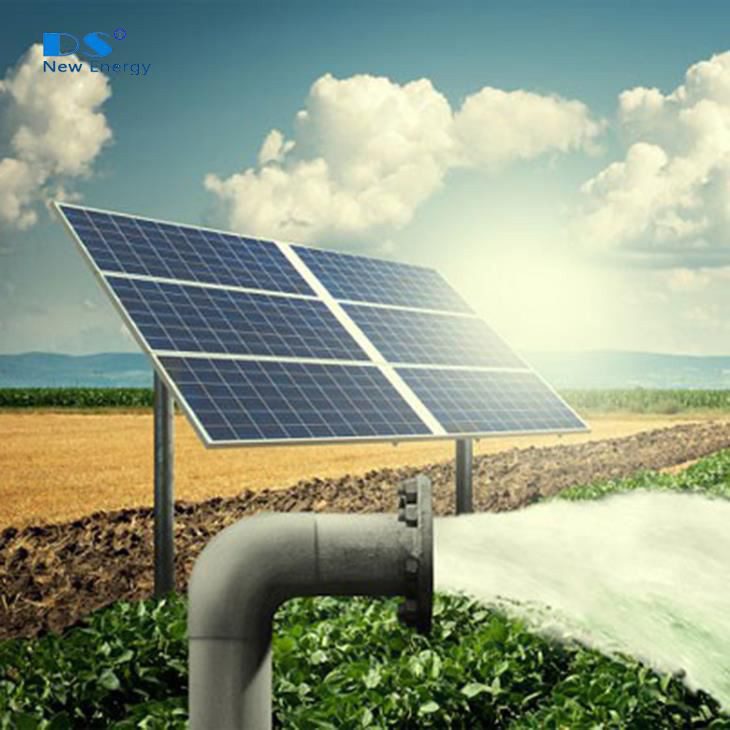 découvrez comment l'agriculture solaire révolutionne la production alimentaire en alliant énergie renouvelable et pratiques agricoles durables. explorez les avantages environnementaux et économiques de cette approche innovante pour un avenir plus vert.