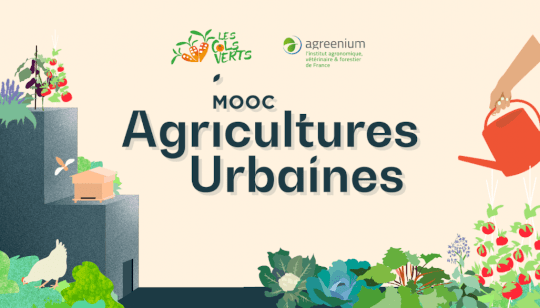 découvrez les avantages de l'agriculture urbaine durable, une approche innovante qui transforme nos villes en espaces verts productifs. apprenez comment cultiver des aliments frais tout en préservant l'environnement et en renforçant le tissu social de vos communautés.