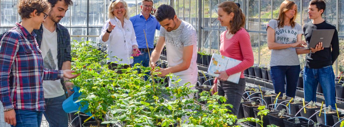 découvrez comment l'agritech solaire durable révolutionne l'agriculture en alliant innovation technologique et respect de l'environnement. explorez des solutions énergétiques renouvelables pour optimiser la production agricole tout en préservant notre planète.