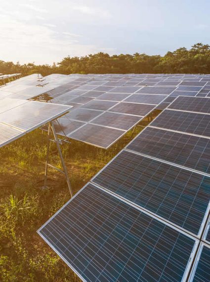 découvrez comment l'agritech solaire durable révolutionne l'agriculture en alliant technologies innovantes et énergies renouvelables pour une production alimentaire respectueuse de l'environnement.