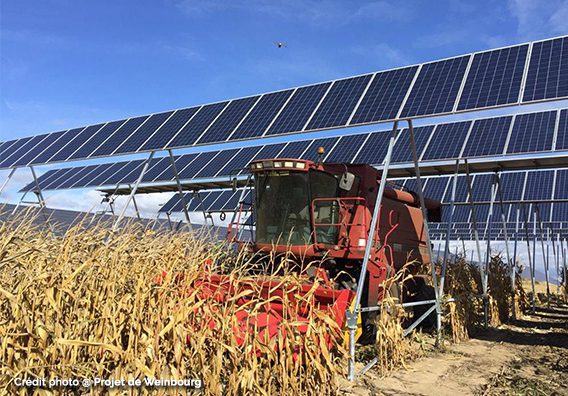 découvrez l'agrivoltaïque, une solution innovante combinant agriculture et production d'énergie solaire. explorez comment cette approche durable optimise l'utilisation des terres tout en préservant la biodiversité et en contribuant à la transition énergétique.