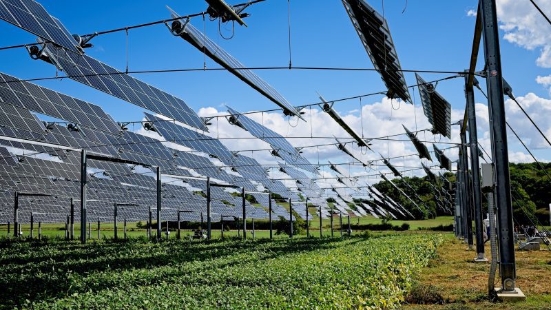 découvrez l'agrivoltaïque, une solution innovante qui combine la production d'énergie solaire et l'agriculture durable. apprenez comment cette approche synergiques permet d'optimiser l'utilisation des terres tout en favorisant la biodiversité et en réduisant les coûts énergétiques pour les exploitants agricoles.