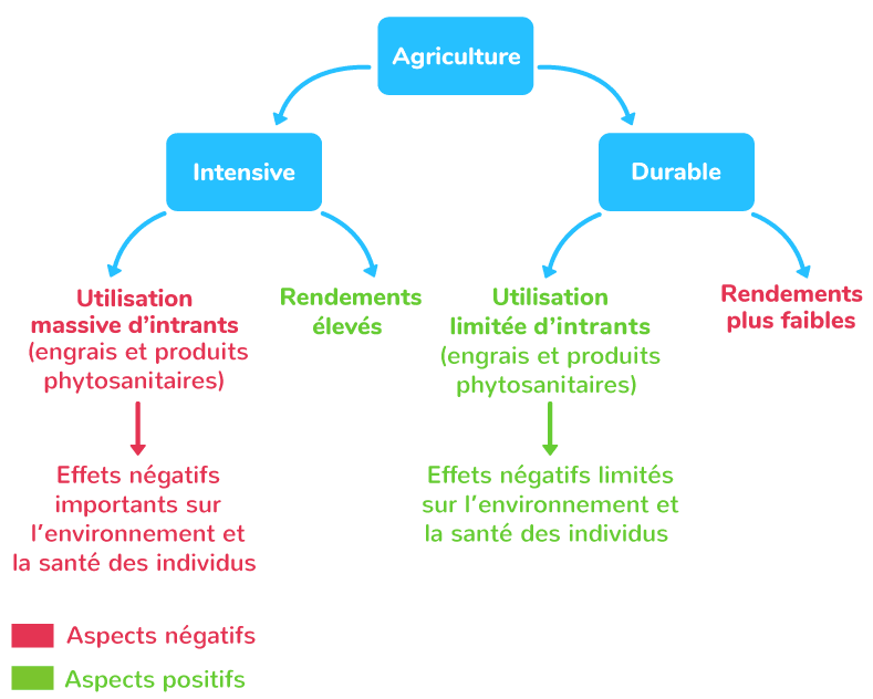 découvrez les enjeux et les solutions pour un agropotentiel durable, alliant innovation agricole et protection de l'environnement. explorez les pratiques pour optimiser les ressources naturelles tout en préservant la biodiversité.