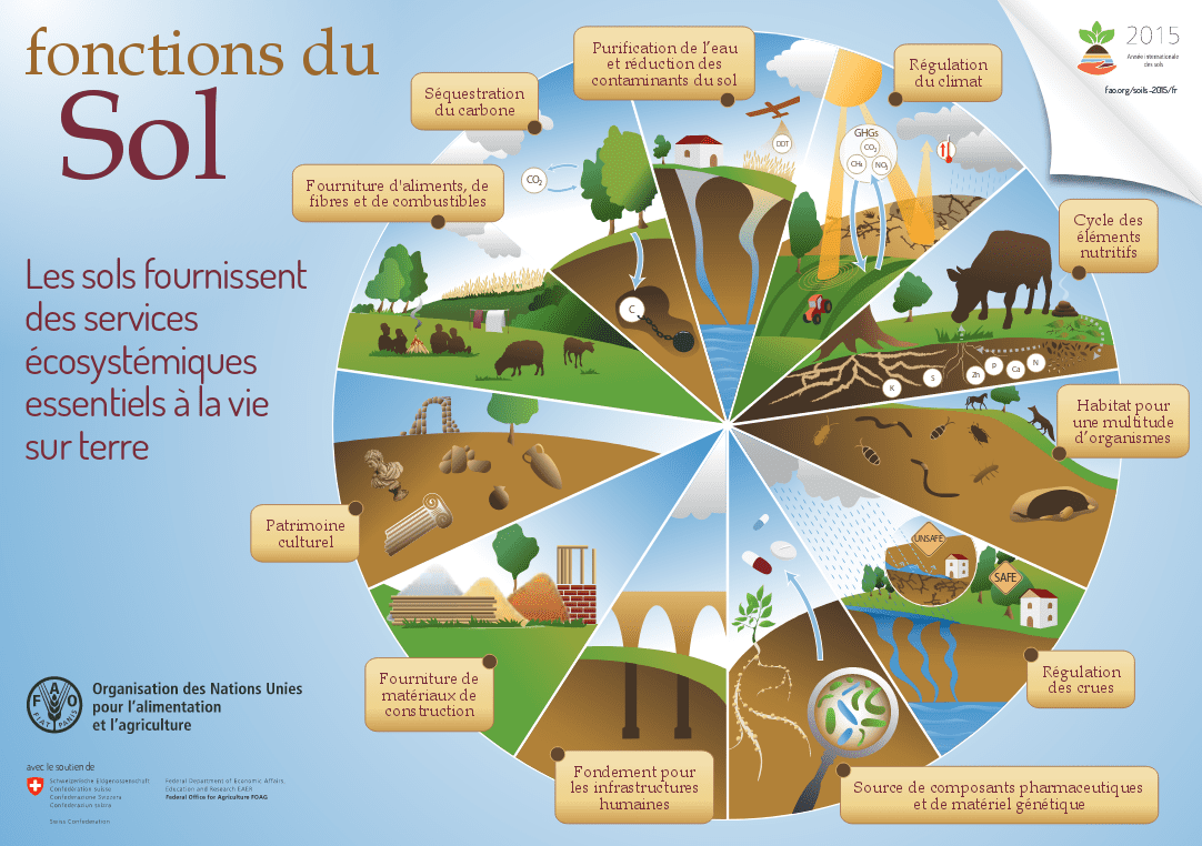 découvrez les clés de l'agropotentiel durable : une approche innovante pour maximiser la production agricole tout en préservant l'environnement. apprenez comment allier rendement et durabilité pour une agriculture respectueuse des ressources naturelles.