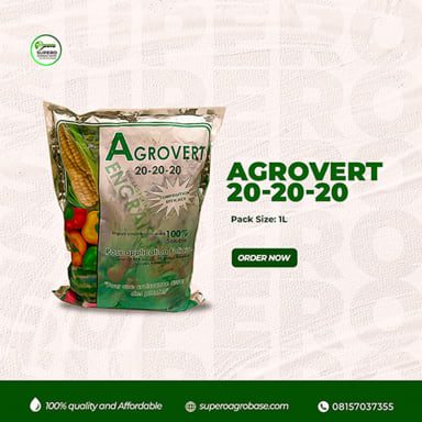découvrez agrovert, votre partenaire innovant dans le domaine de l'agriculture durable. nous proposons des solutions respectueuses de l'environnement pour optimiser vos rendements tout en préservant la santé de vos sols. rejoignez-nous pour cultiver un avenir plus vert.