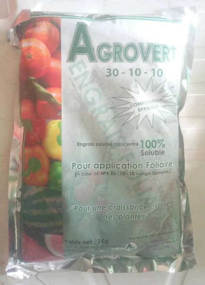 découvrez agrovert, votre partenaire de confiance pour des solutions innovantes et durables dans le secteur de l'agriculture. optimisez vos récoltes grâce à nos produits écologiques et profitez de conseils d'experts pour une agriculture responsable.