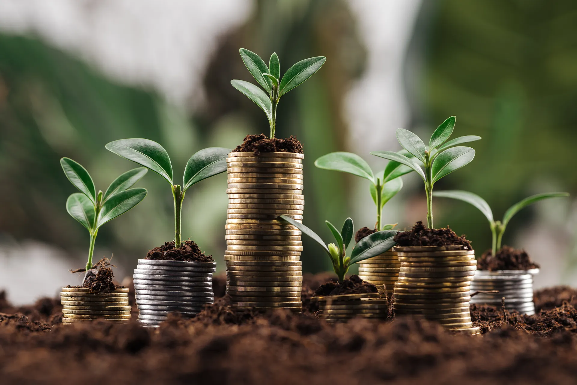 découvrez les différentes aides disponibles en occitanie pour soutenir vos projets et initiatives. informez-vous sur les subventions, les aides financières et les ressources à votre disposition dans cette région dynamique.
