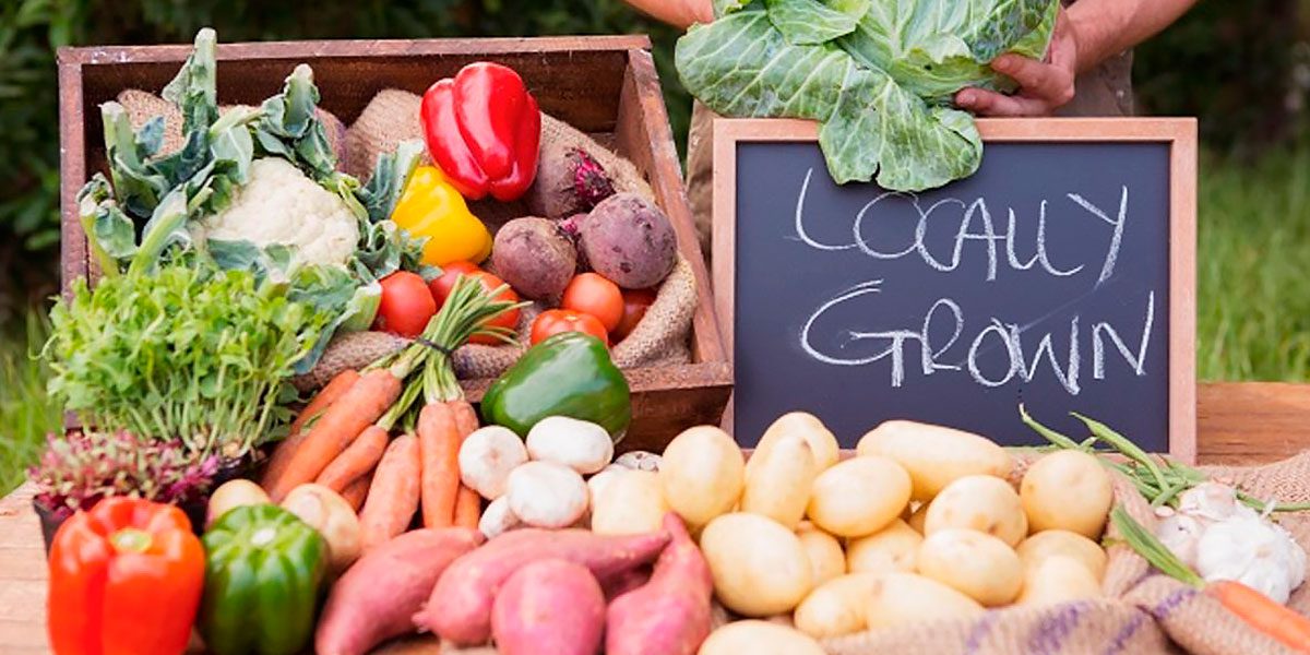 découvrez les bienfaits des aliments locaux et de l'agriculture écologique. engagez-vous pour une consommation plus responsable et durable tout en soutenant les producteurs de votre région.