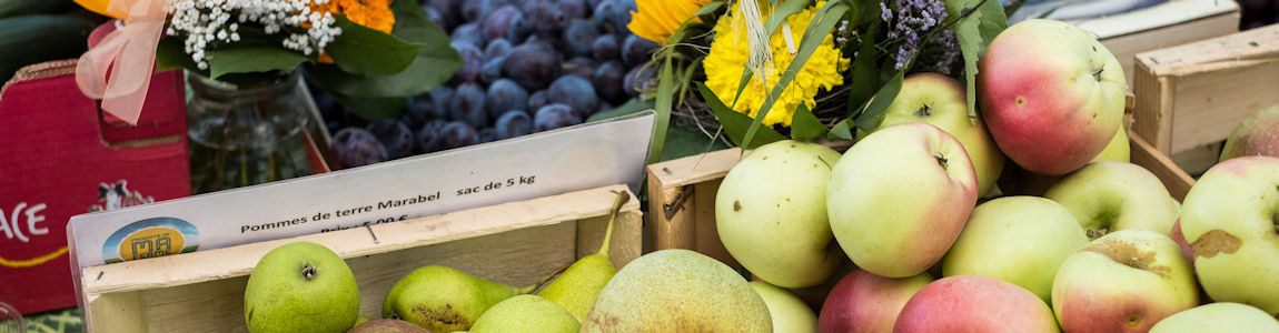 découvrez l'importance des aliments locaux et de l'agriculture écologique pour une alimentation saine et durable. apprenez comment soutenir les agriculteurs locaux tout en préservant notre planète grâce à des pratiques respectueuses de l'environnement.
