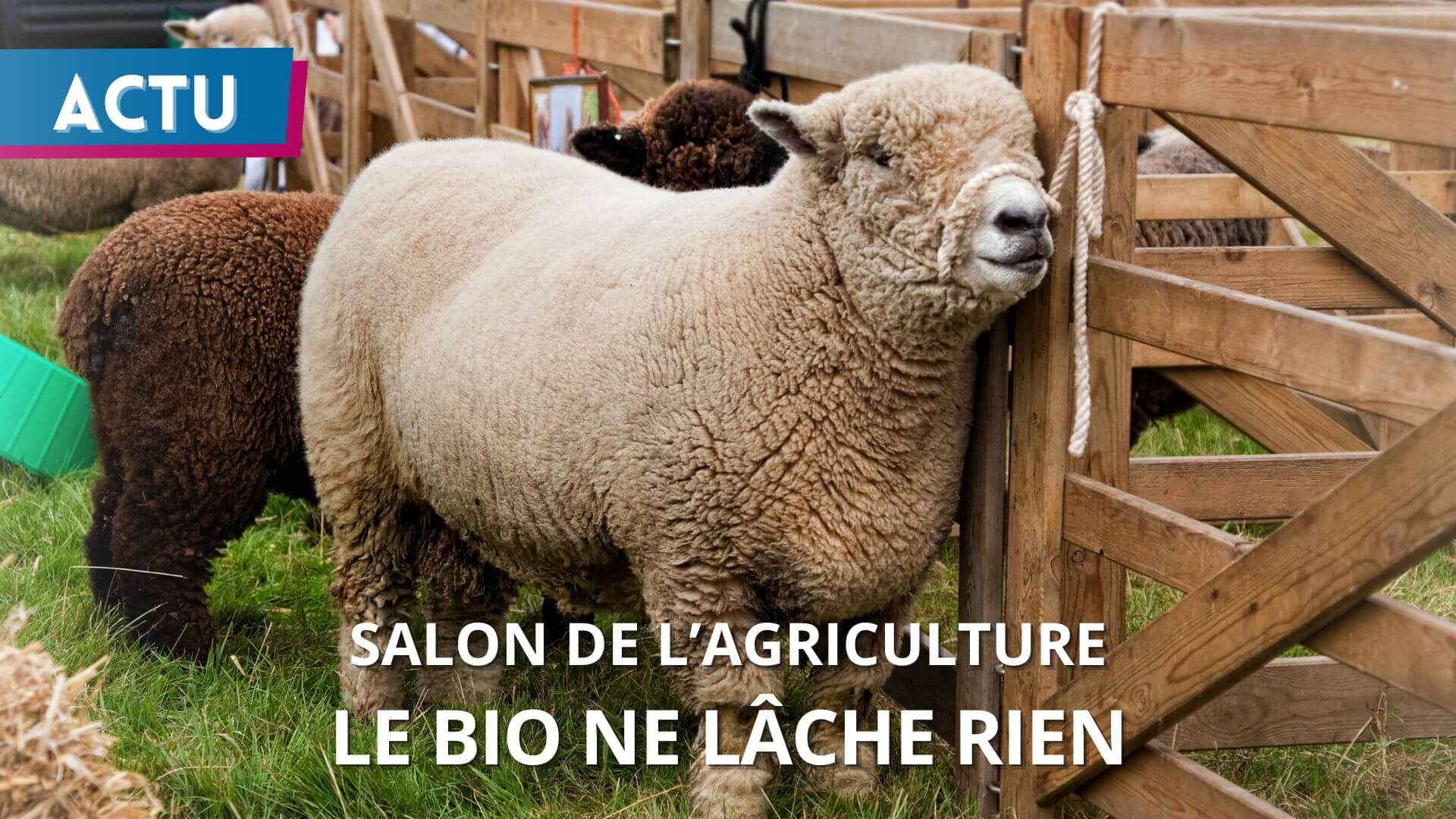 découvrez comment les associations œuvrent pour une agriculture durable en promouvant des pratiques écologiques, en soutenant les agriculteurs locaux et en préservant notre environnement. rejoignez le mouvement pour un avenir agricole responsable.