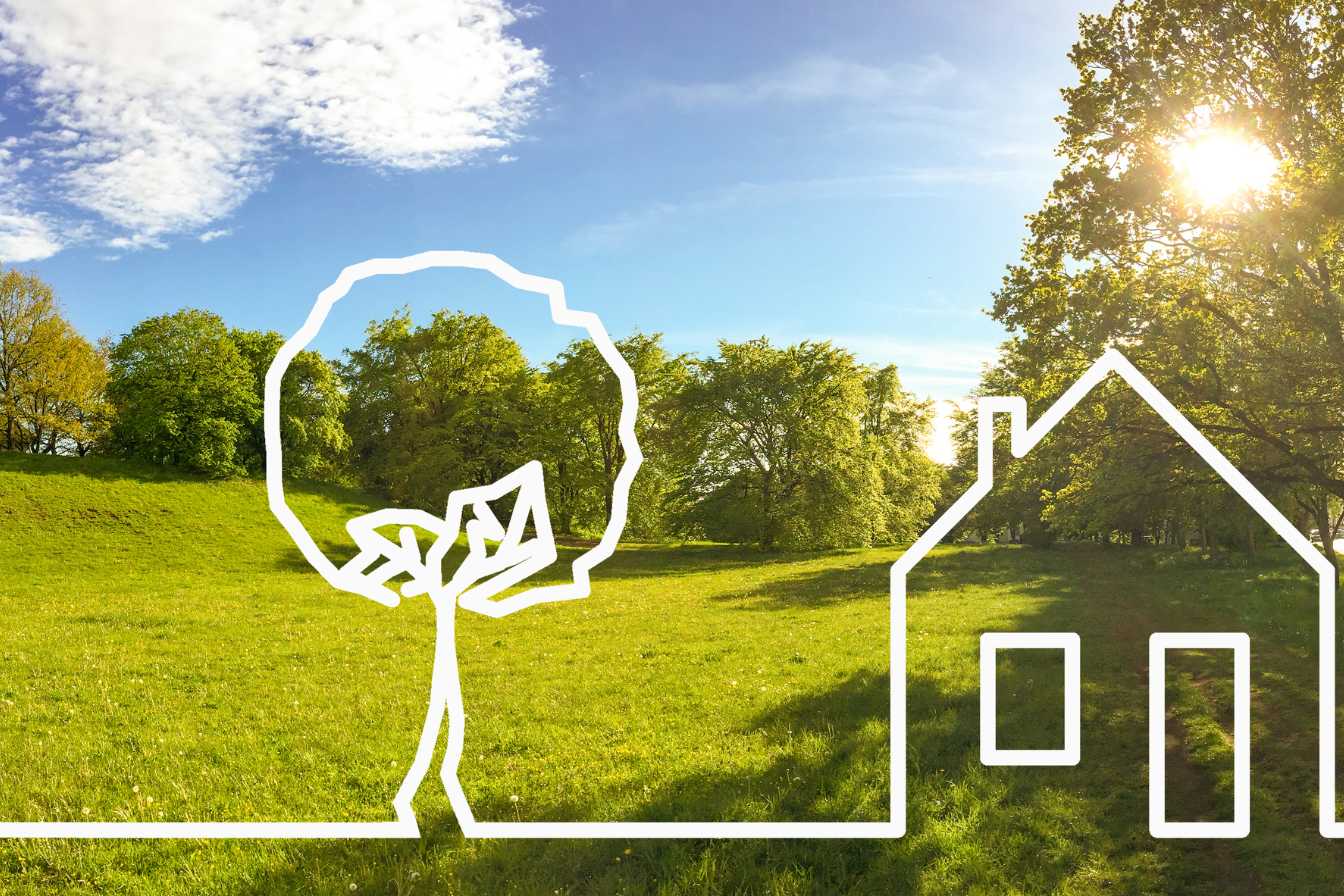 découvrez des astuces agricoles pratiques et innovantes pour optimiser vos cultures, améliorer votre rendement et adopter des techniques durables. transformez votre approche de l'agriculture avec nos conseils experts.