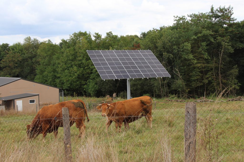 découvrez les avantages de l'autoconsommation agricole, une solution durable qui permet aux agriculteurs de produire leur propre énergie tout en optimisant leurs coûts. adoptez une approche écoresponsable pour une agriculture plus verte et autonome.