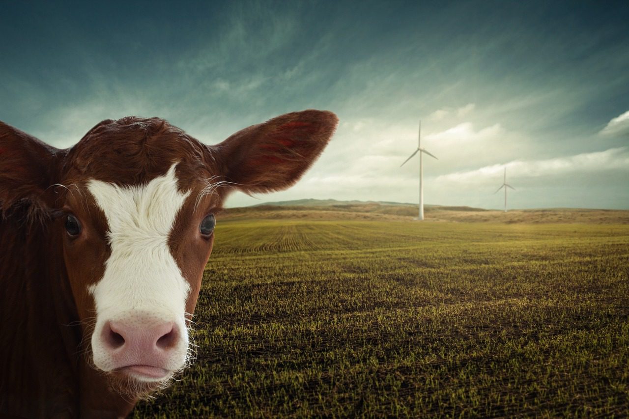 découvrez les avantages agroécologiques : une approche durable de l'agriculture qui préserve l'environnement, améliore la biodiversité et renforce la résilience des écosystèmes tout en assurant une production alimentaire efficace et responsable.