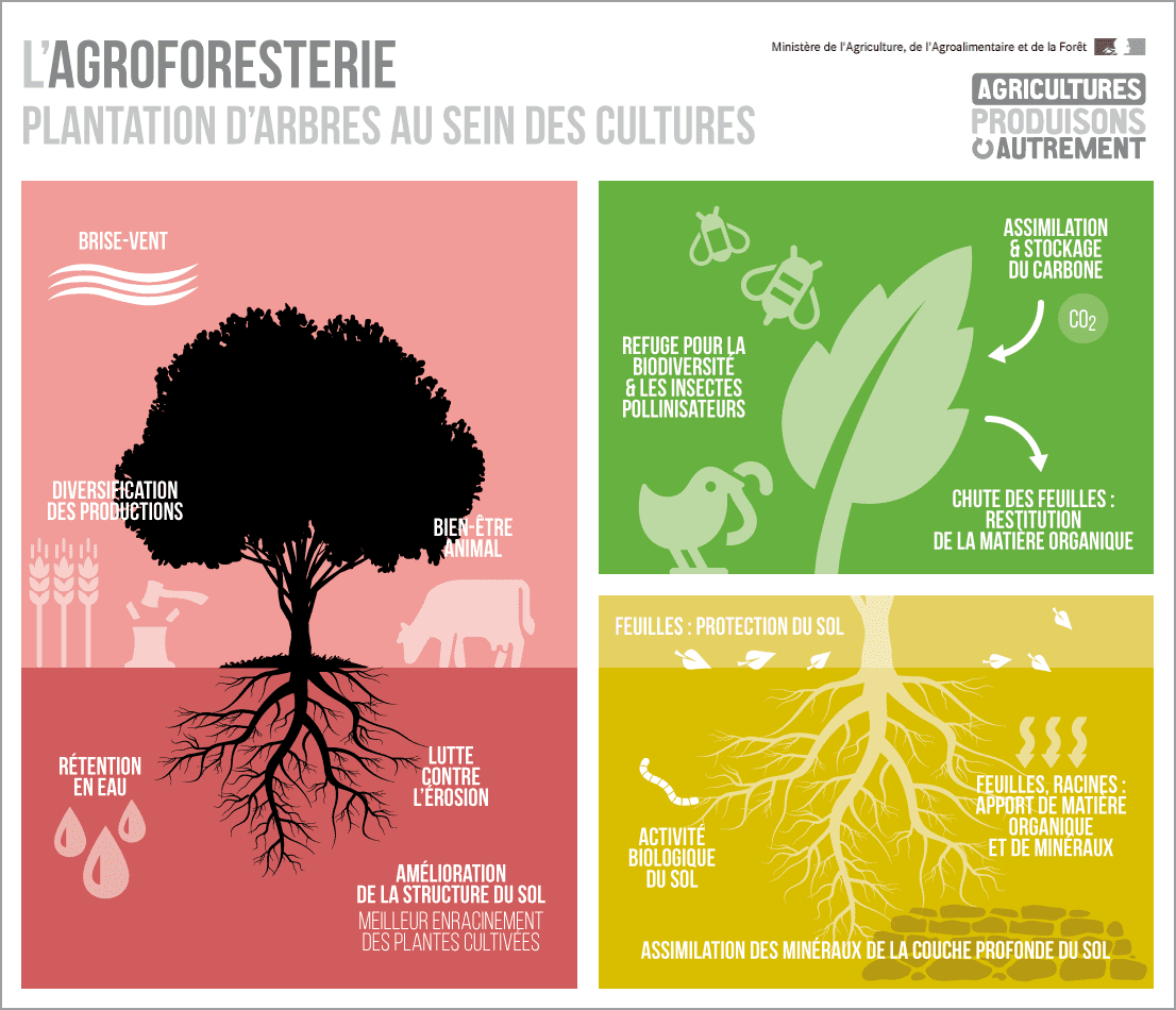 découvrez les avantages agroécologiques qui favorisent une agriculture durable. apprenez comment ces pratiques respectueuses de l'environnement améliorent la biodiversité, la fertilité des sols et réduisent l'utilisation de pesticides. adoptez une approche écoresponsable pour un avenir agricole plus sain.