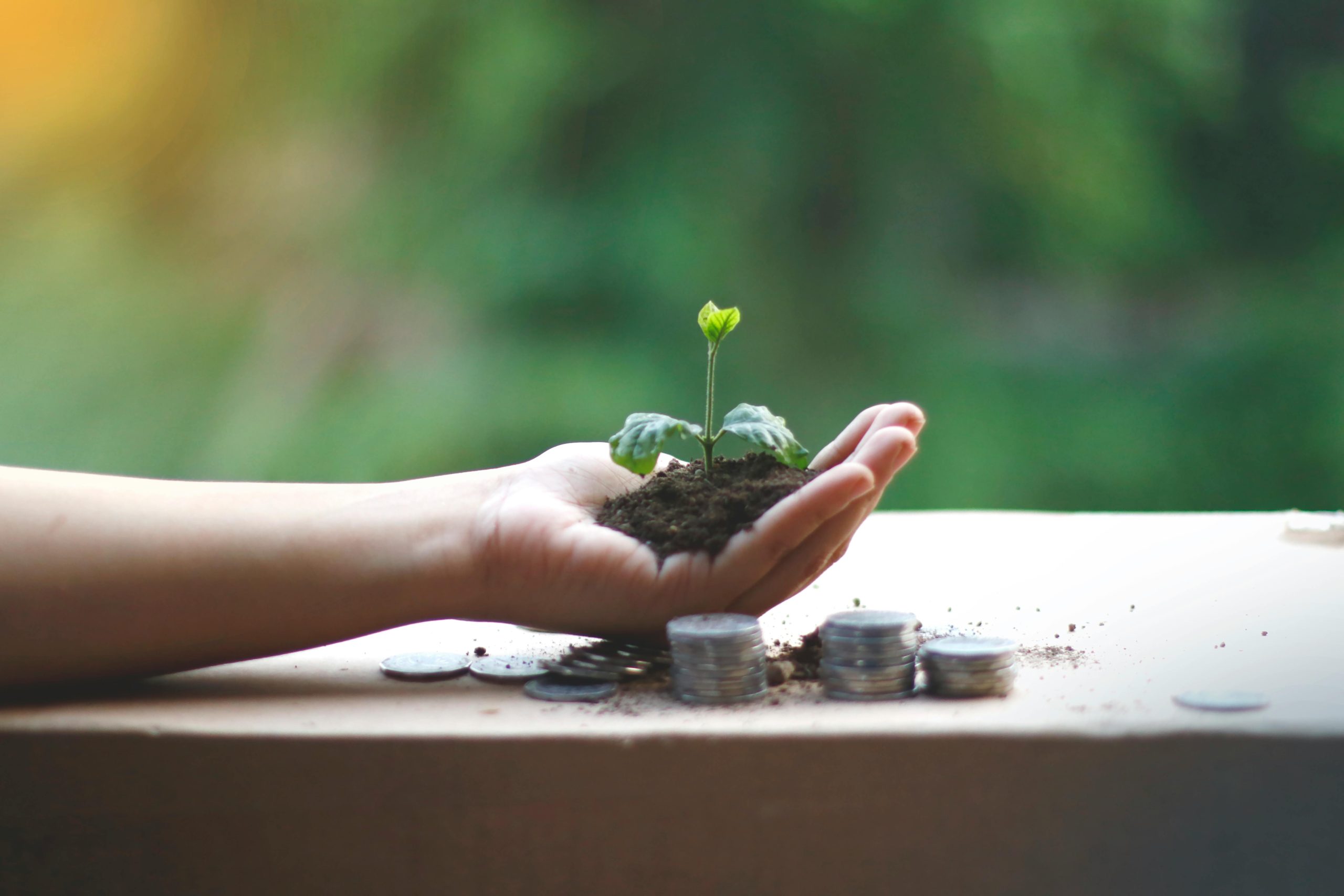 découvrez comment les avantages fiscaux pour les technologies vertes peuvent stimuler votre entreprise tout en contribuant à la protection de l'environnement. profitez d'allégements fiscaux, de subventions et d'incitations pour investir dans des solutions durables et rentables.