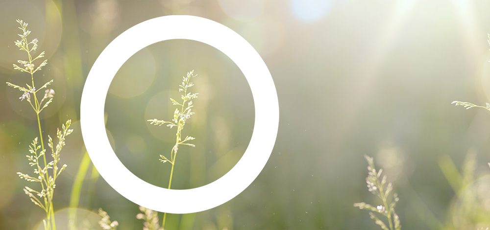 découvrez comment les technologies vertes peuvent offrir des avantages fiscaux significatifs aux particuliers et aux entreprises. explorez les crédits d'impôt, les subventions et les incitations gouvernementales qui favorisent l'adoption des énergies renouvelables et des pratiques durables.