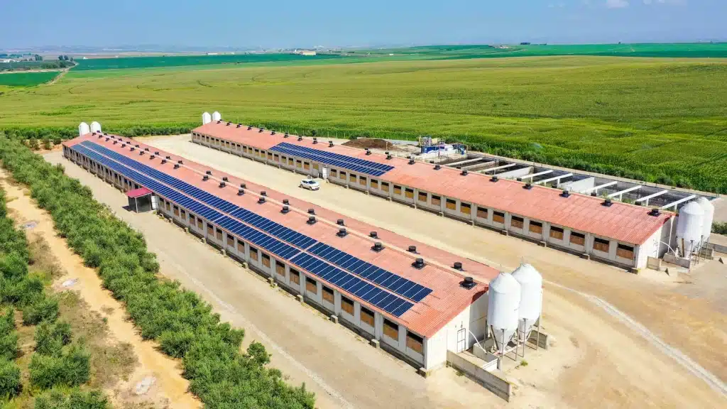découvrez les avantages d'un hangar agricole : optimisez votre espace de stockage, protégez vos équipements et cultures, et améliorez votre productivité. un investissement essentiel pour les agriculteurs modernes.