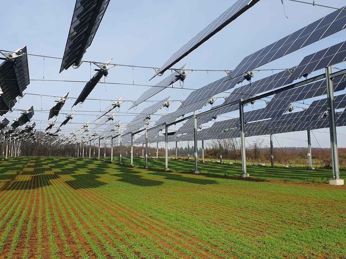découvrez comment l'énergie solaire transforme l'agriculture de demain. explorez les innovations et avantages durables qu'elle apporte pour une production agricole plus verte et efficace.