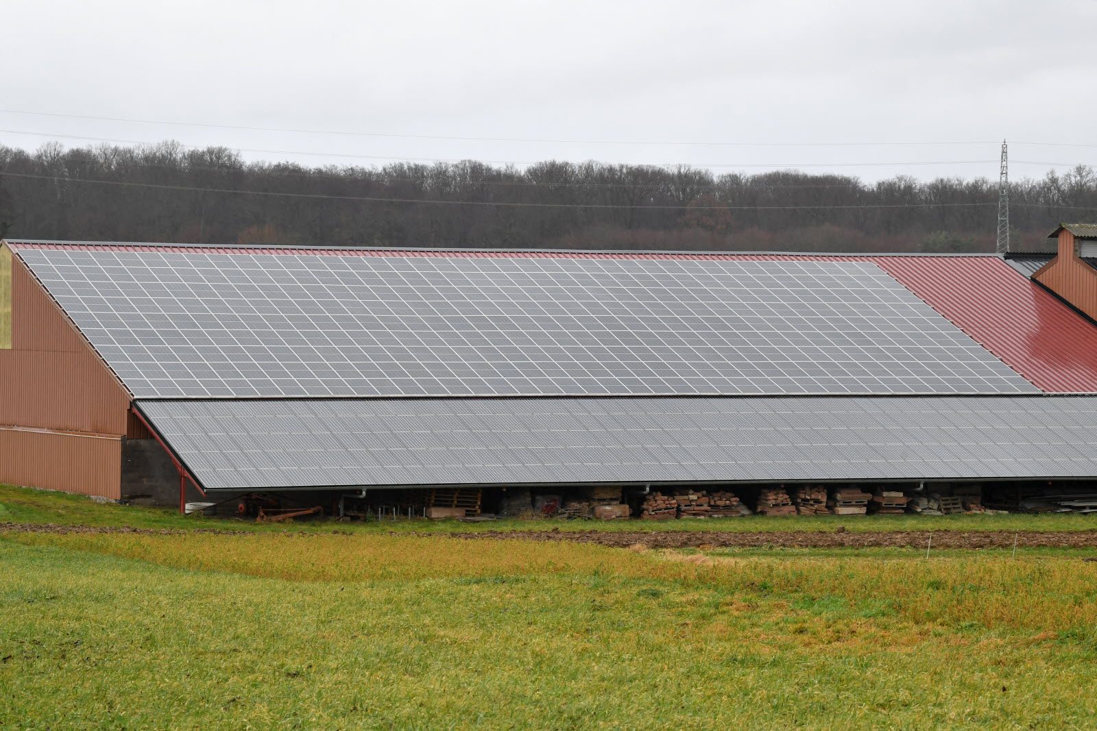 découvrez les avis sur alsace solaire, votre expert en énergies renouvelables. informez-vous sur les projets, l'efficacité et l'impact environnemental de leurs solutions solaires en alsace.