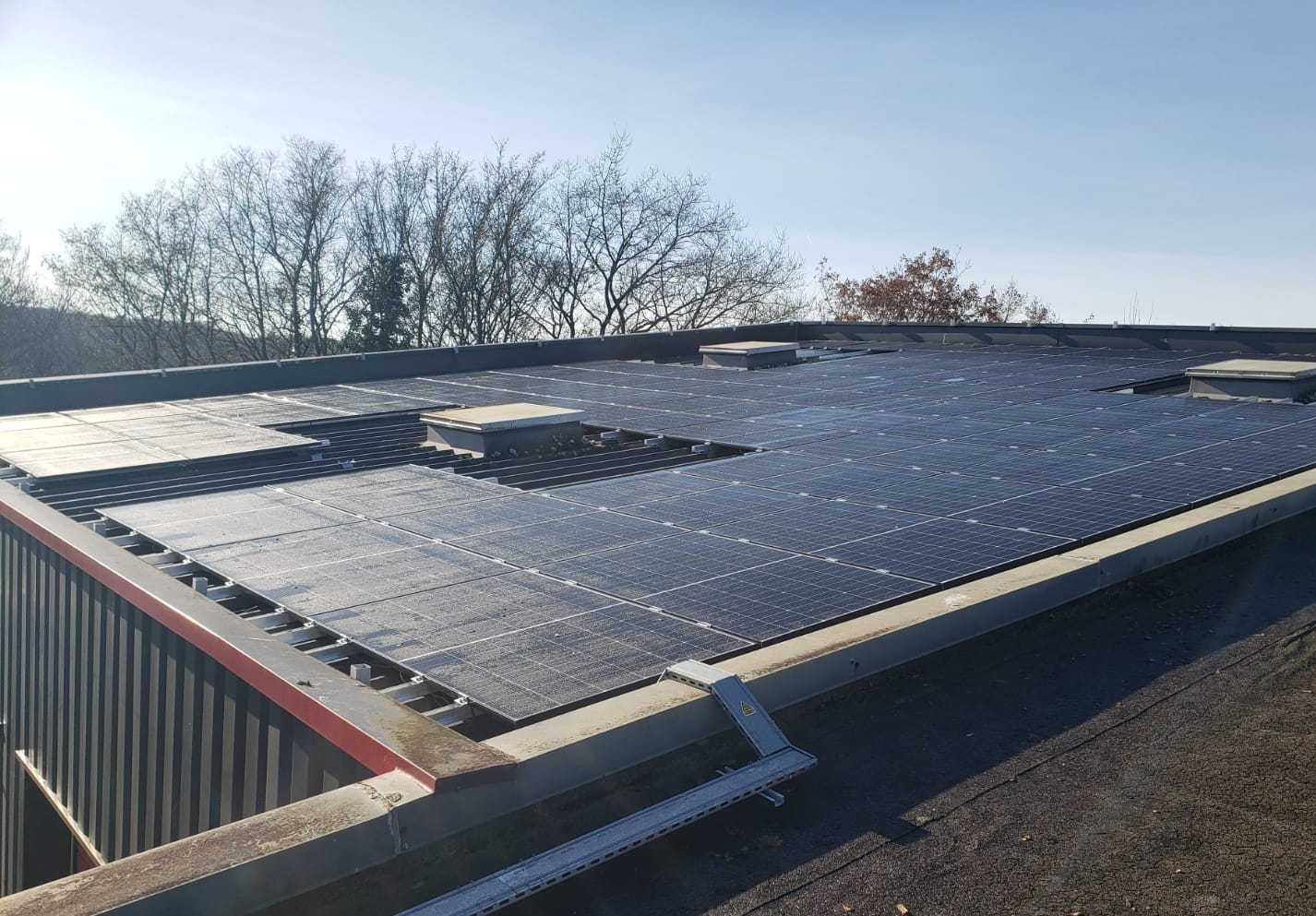 découvrez les avis sur les acteurs clés du secteur solaire. informez-vous sur leurs performances, innovations et engagements pour un avenir énergétique durable.