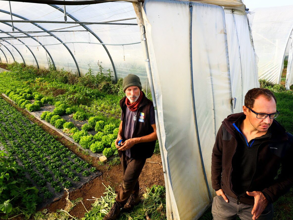 découvrez notre analyse complète et nos avis sur agrotoit, la solution innovante pour l'agriculture urbaine. explorez les avantages, les témoignages d'utilisateurs et les impacts environnementaux de ce concept de toitures végétalisées. informez-vous avant de faire le grand saut vers une agriculture durable en milieu urbain!