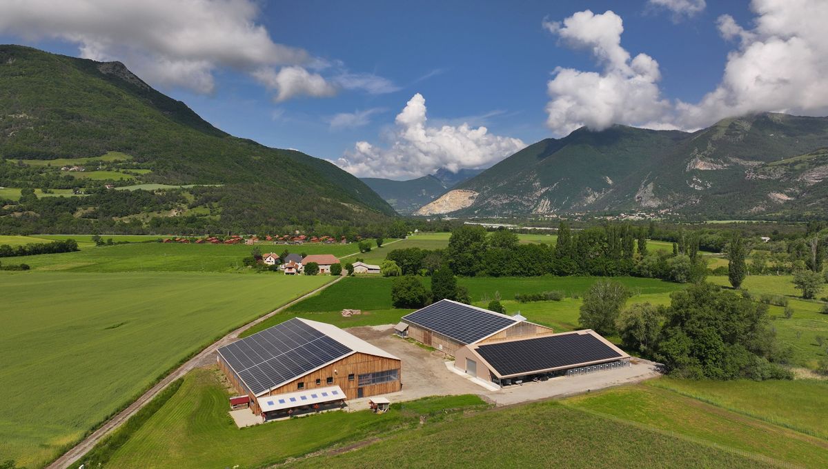 découvrez comment les bâtiments agricoles énergétiques transforment le secteur agricole en optimisant la production tout en réduisant l'empreinte carbone. explorez les solutions innovantes pour allier performance et durabilité dans l'agriculture.