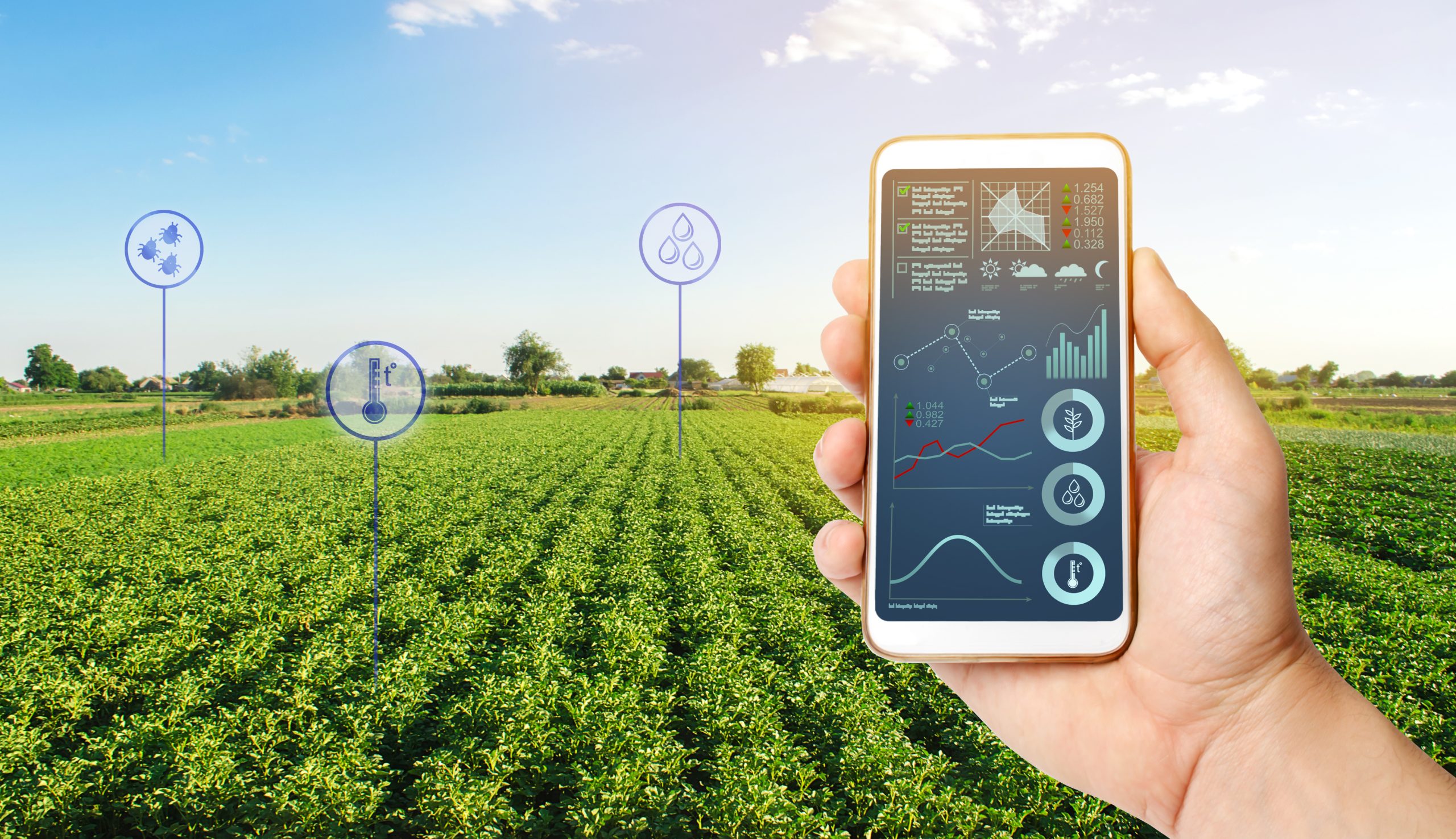 découvrez comment le big data transforme l'agriculture moderne, en améliorant les rendements, optimisant les ressources et facilitant une prise de décision éclairée pour les agriculteurs. explorez les innovations technologiques qui redéfinissent le secteur agricole.
