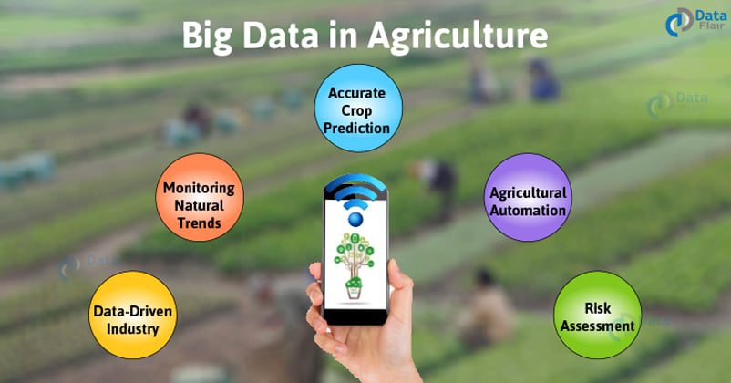 découvrez comment le big data révolutionne l'agriculture moderne en optimisant la production, en améliorant la gestion des ressources et en favorisant des pratiques durables. explorez les avantages des technologies de données massives pour transformer le secteur agricole.