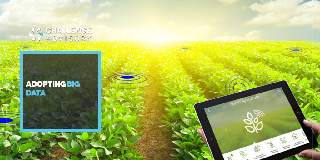 découvrez comment le big data révolutionne l'agriculture en optimisant les rendements, améliorant la gestion des ressources et favorisant des pratiques durables. explorez les technologies innovantes qui transforment le secteur agricole et garantissent une production plus efficace.