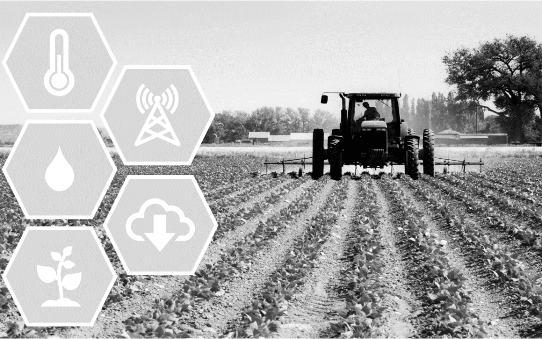 découvrez comment le big data transforme le secteur agricole en améliorant les rendements, optimisant les ressources et facilitant la prise de décision. explorez les technologies et les solutions innovantes qui révolutionnent les pratiques culturales.