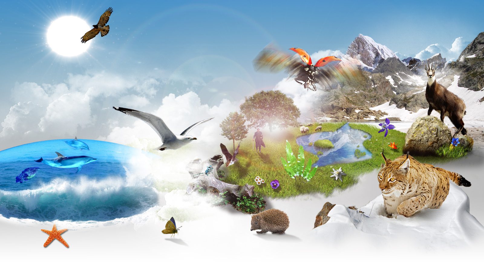 découvrez l'importance cruciale de la biodiversité pour notre planète. explorez les différentes espèces, leurs habitats et les enjeux de la protection de la nature. engagez-vous pour préserver la richesse biologique de notre environnement.