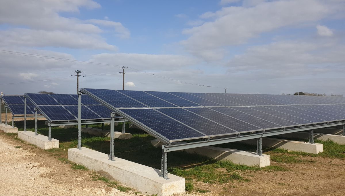 découvrez comment les hangars photovoltaïques contribuent à la biodiversité tout en produisant de l'énergie renouvelable. explorez les synergies entre l'agriculture, la conservation de l'environnement et l'innovation durable grâce à des solutions écologiques.